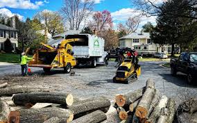Best Utility Line Clearance  in Lynchburg, MS