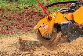 Best Emergency Tree Removal  in Lynchburg, MS