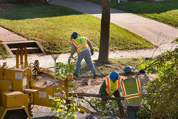 Best Pest Control for Lawns  in Lynchburg, MS
